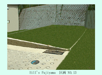 �ʐ^���P�R