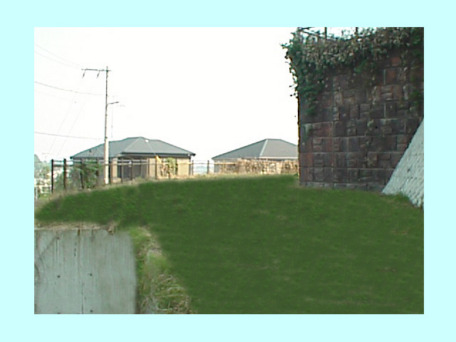 �ʐ^���Q�RUp