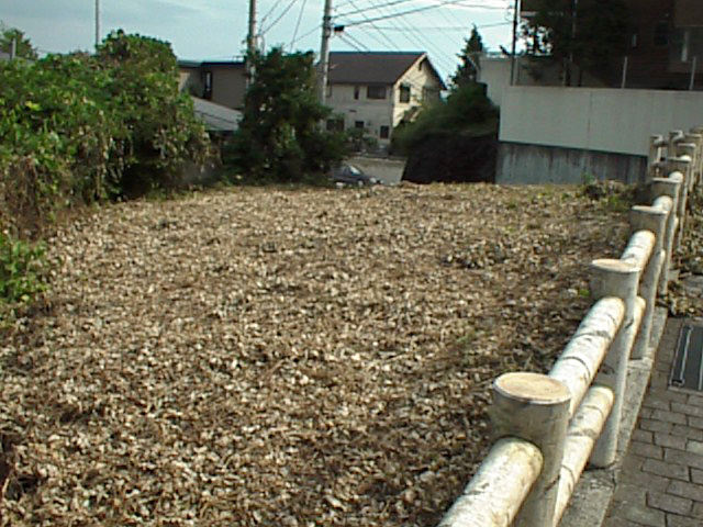 �e���������������ʐ^E