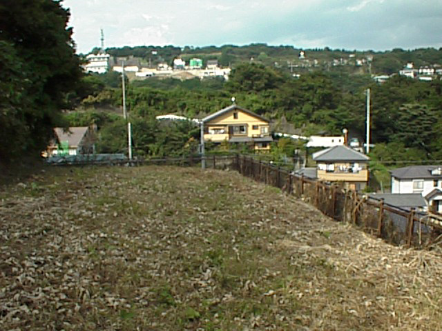 �e���������������ʐ^J