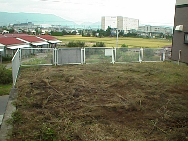 ��`�ʐ^�i�F