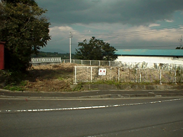 ���V���ʐ^